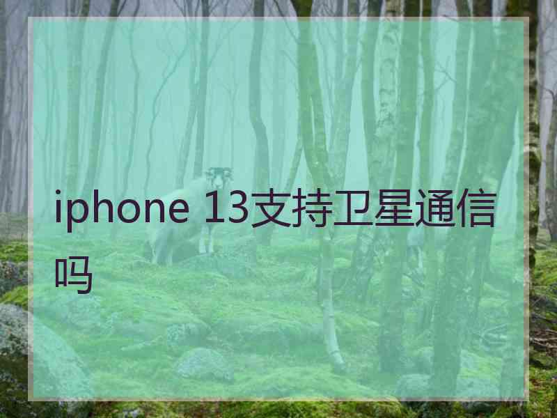 iphone 13支持卫星通信吗