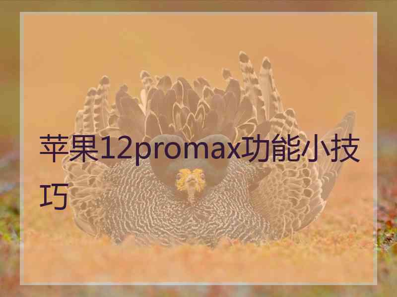 苹果12promax功能小技巧