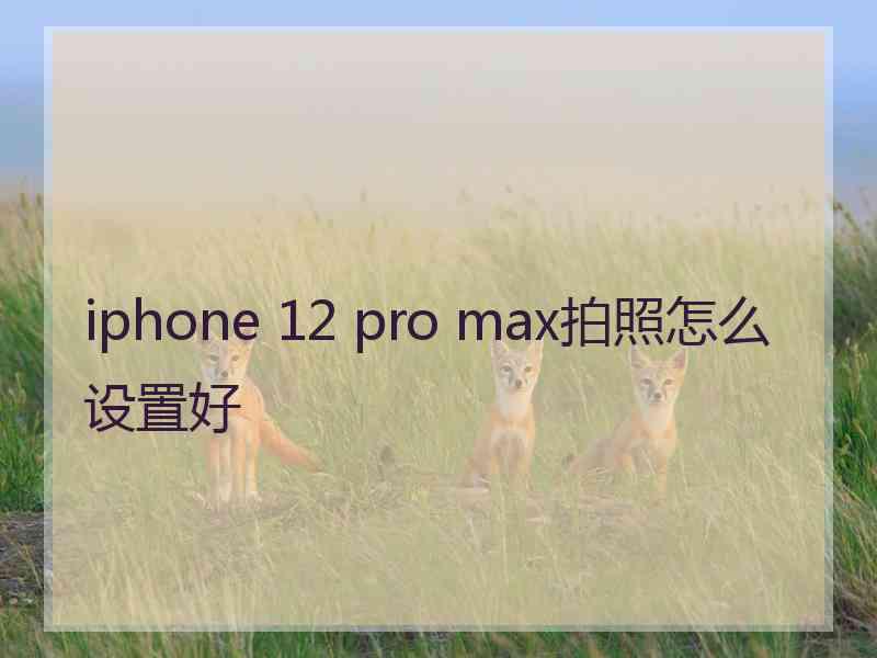 iphone 12 pro max拍照怎么设置好