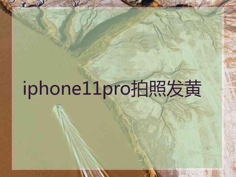 iphone11pro拍照发黄