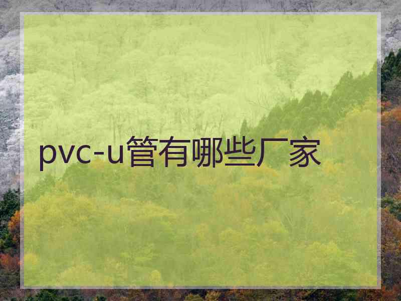 pvc-u管有哪些厂家