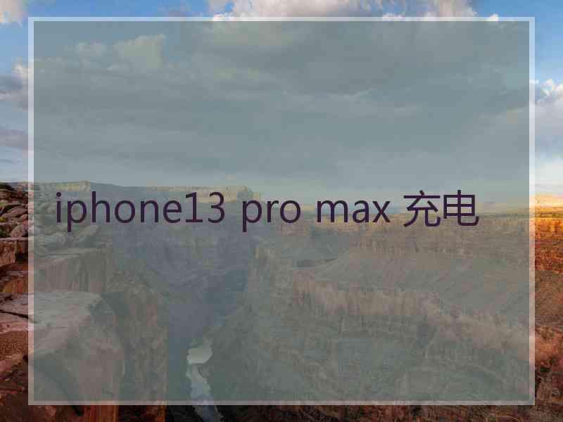 iphone13 pro max 充电