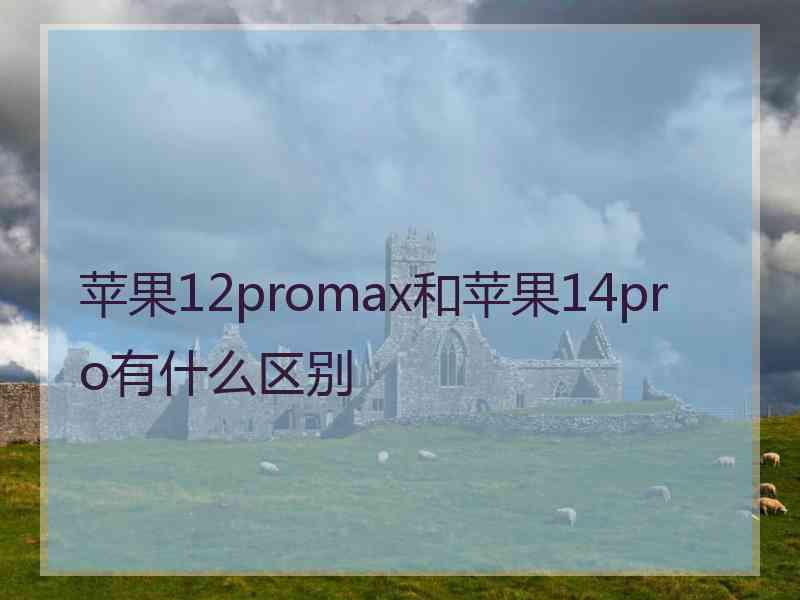 苹果12promax和苹果14pro有什么区别