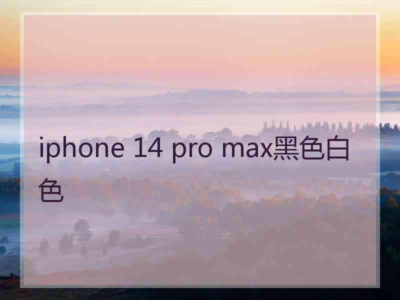 iphone 14 pro max黑色白色