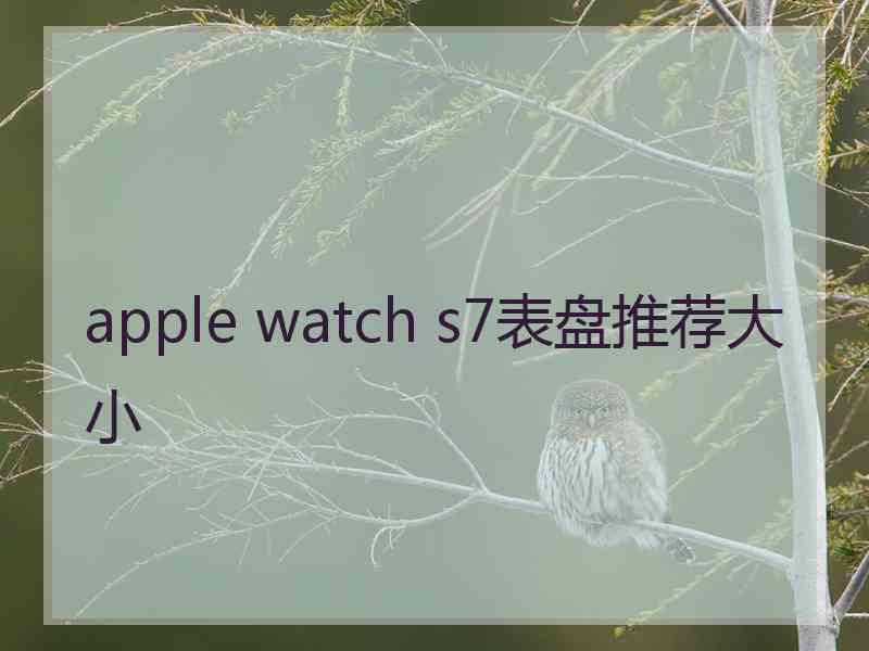 apple watch s7表盘推荐大小