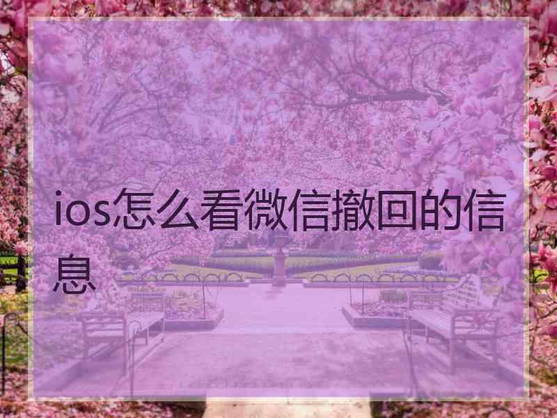 ios怎么看微信撤回的信息