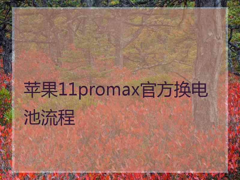 苹果11promax官方换电池流程