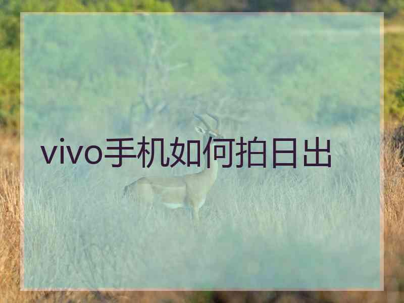 vivo手机如何拍日出