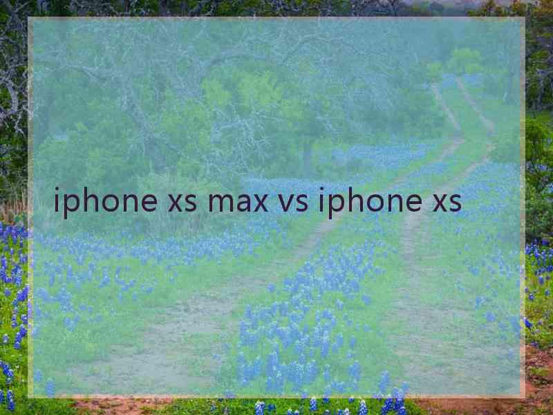 iphone xs max vs iphone xs