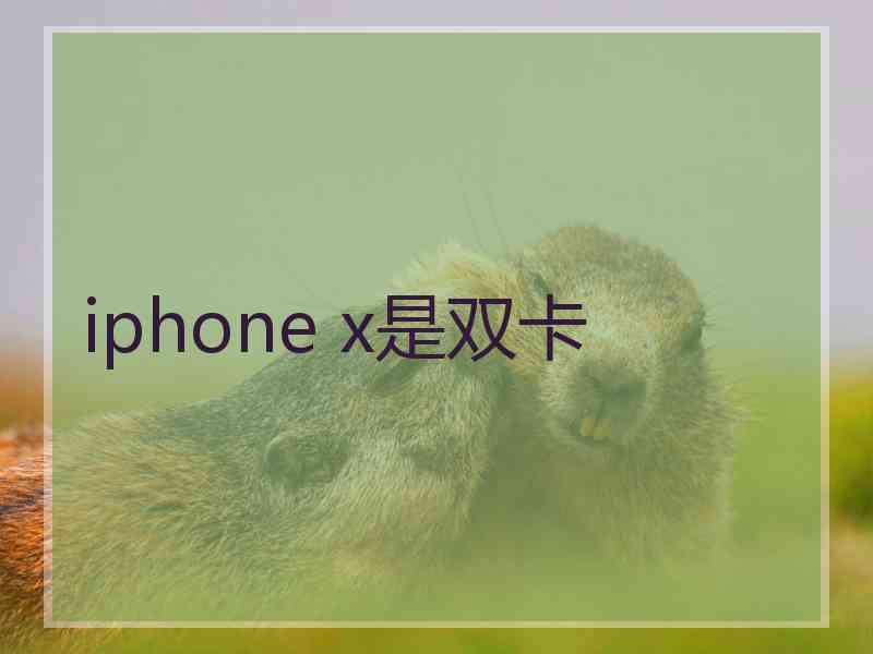 iphone x是双卡