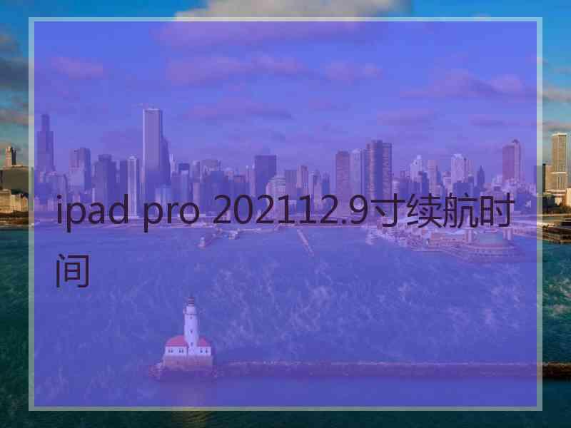 ipad pro 202112.9寸续航时间