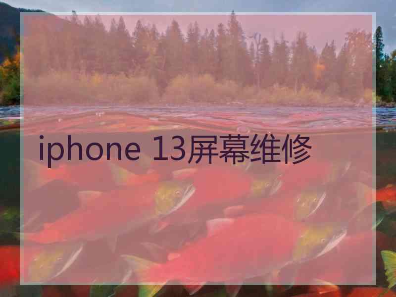 iphone 13屏幕维修