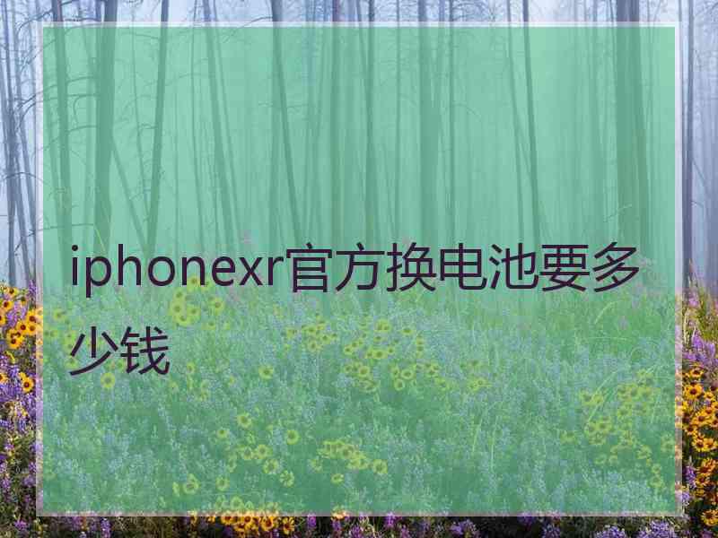 iphonexr官方换电池要多少钱