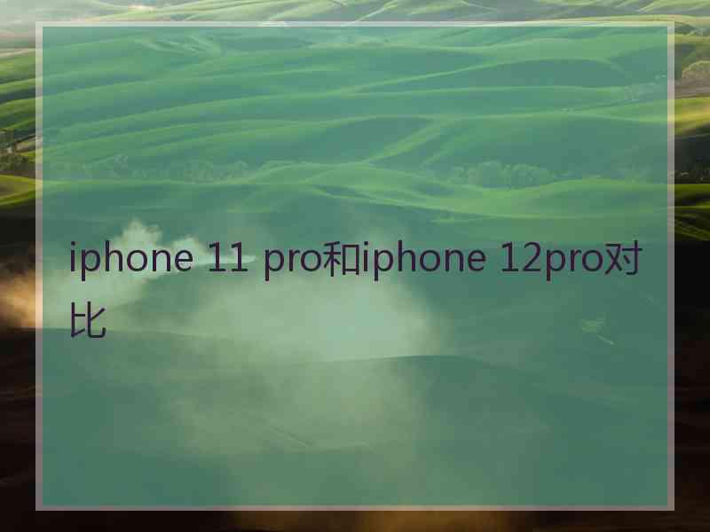 iphone 11 pro和iphone 12pro对比