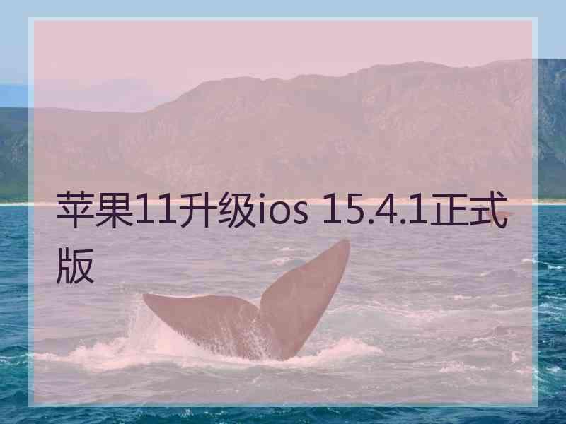 苹果11升级ios 15.4.1正式版