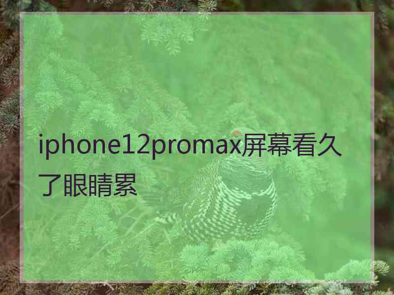 iphone12promax屏幕看久了眼睛累