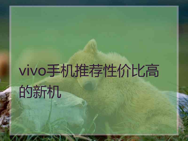 vivo手机推荐性价比高的新机