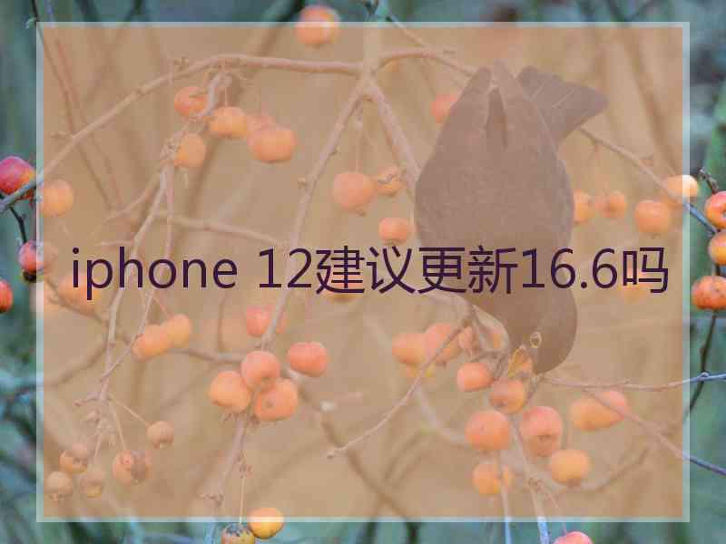 iphone 12建议更新16.6吗