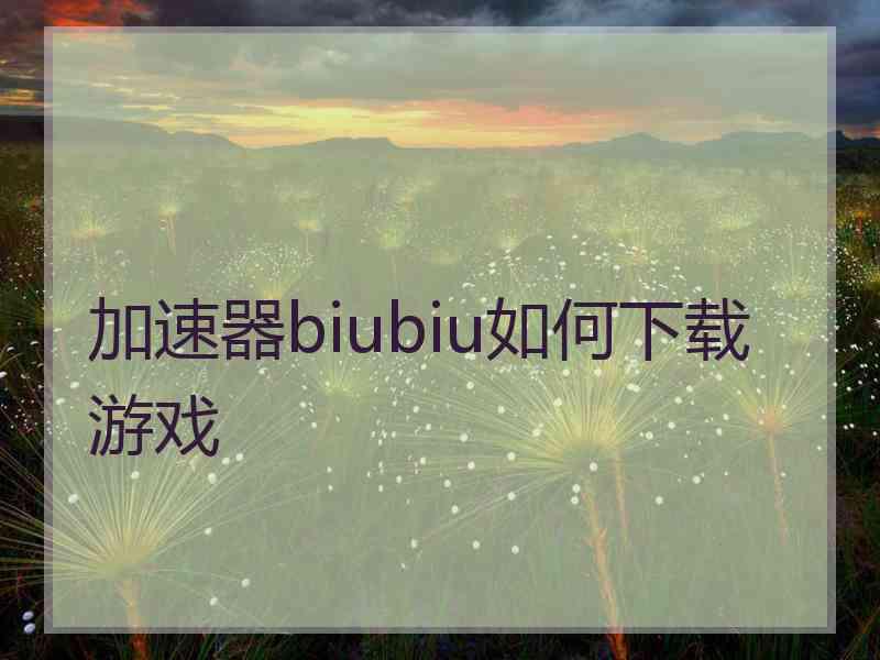 加速器biubiu如何下载游戏