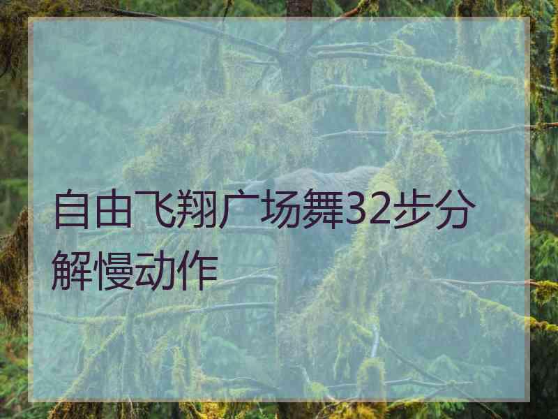 自由飞翔广场舞32步分解慢动作