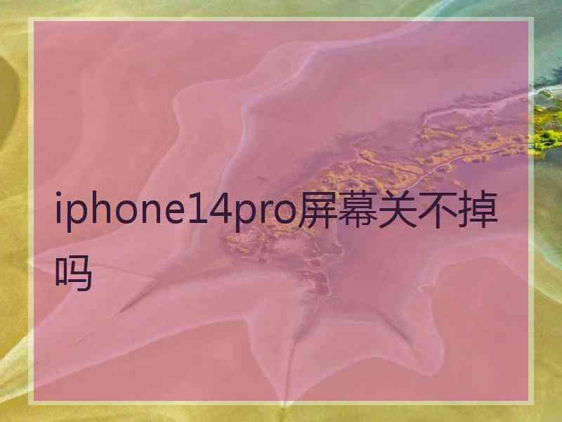 iphone14pro屏幕关不掉吗