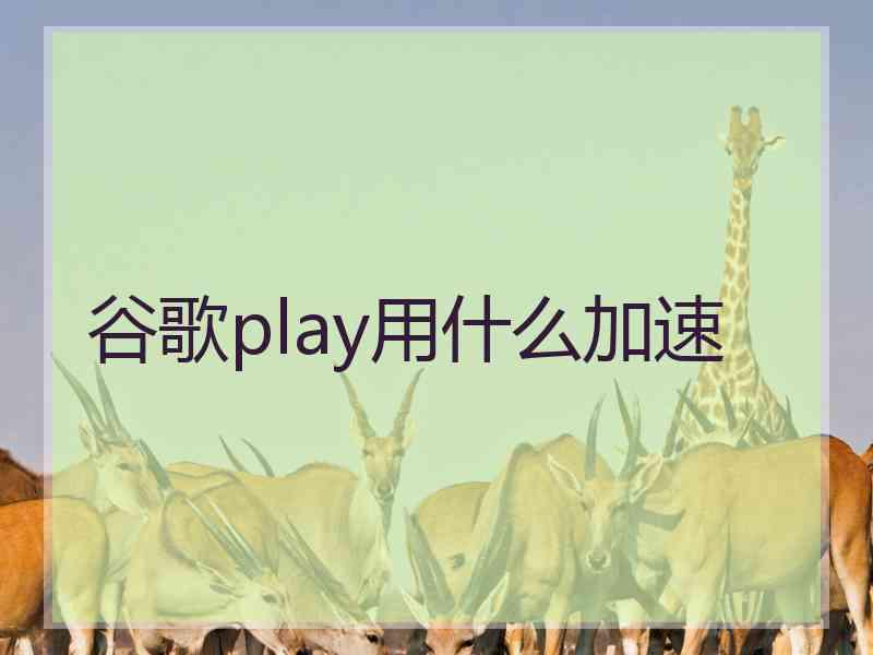 谷歌play用什么加速