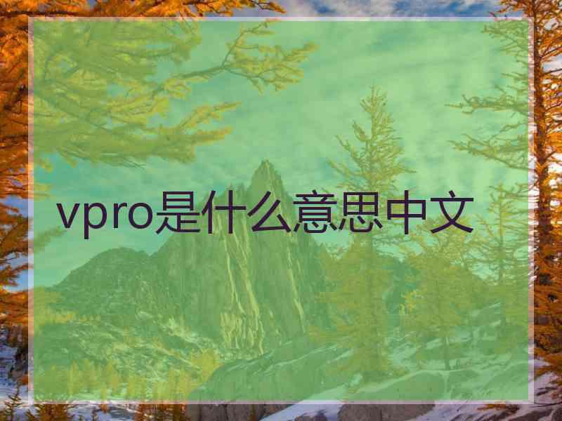 vpro是什么意思中文