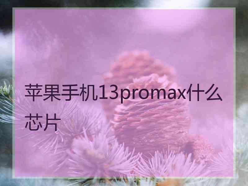 苹果手机13promax什么芯片