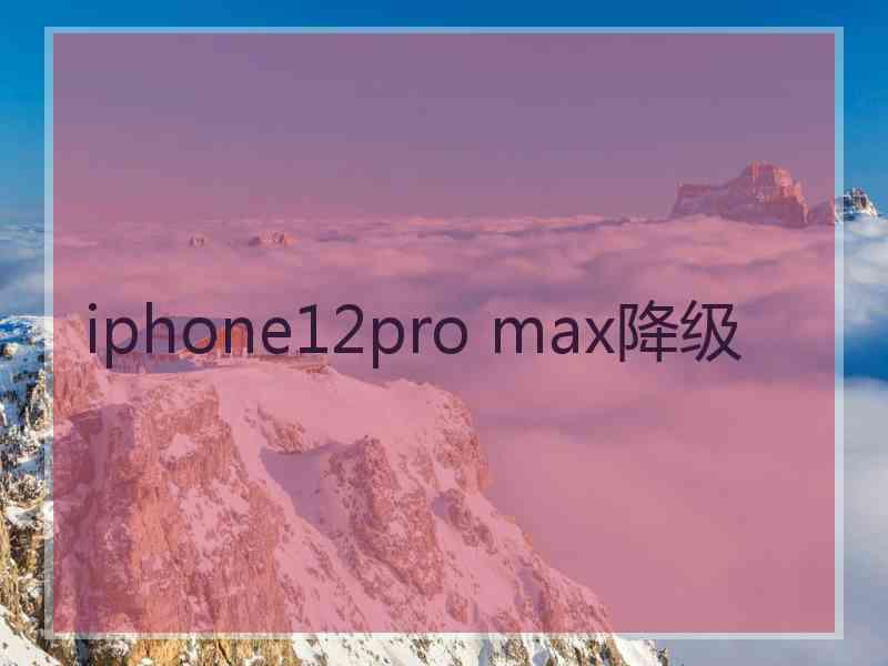 iphone12pro max降级