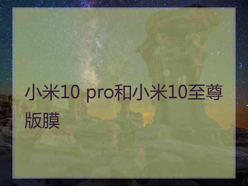 小米10 pro和小米10至尊版膜