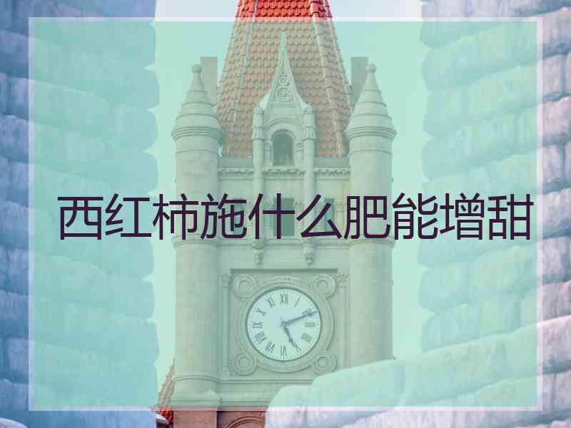 西红柿施什么肥能增甜