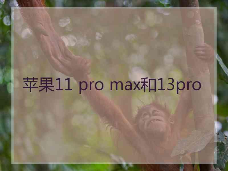 苹果11 pro max和13pro