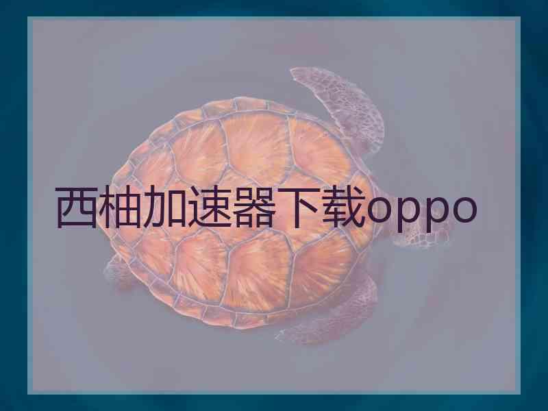 西柚加速器下载oppo