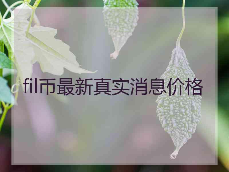 fil币最新真实消息价格