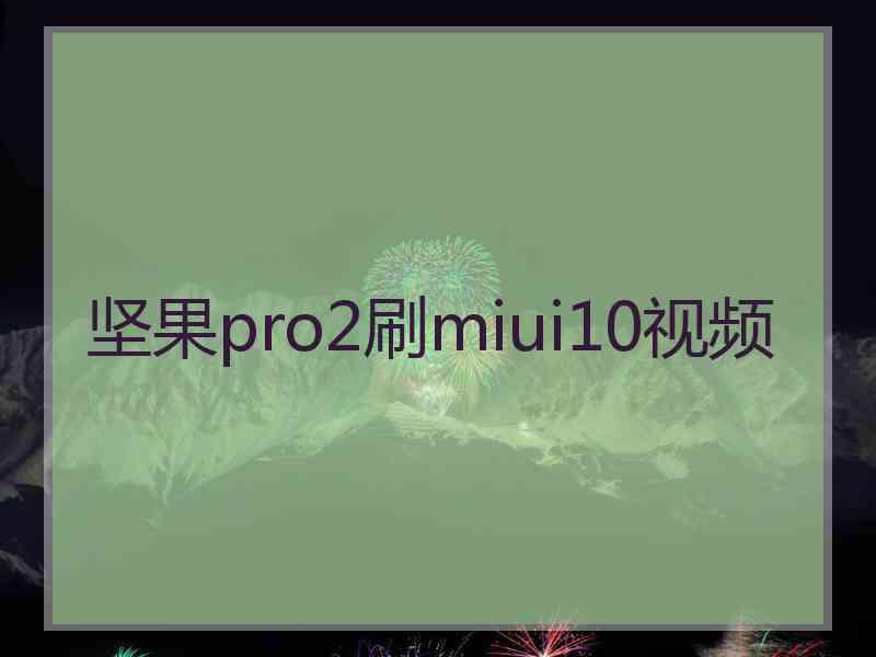 坚果pro2刷miui10视频