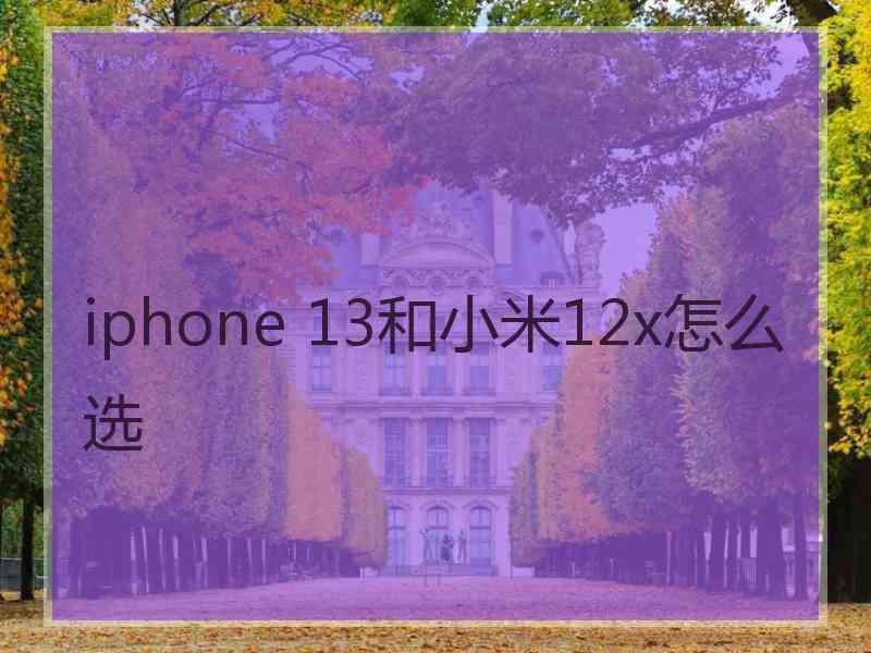 iphone 13和小米12x怎么选