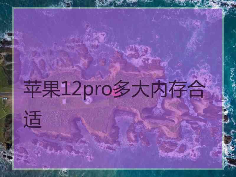 苹果12pro多大内存合适