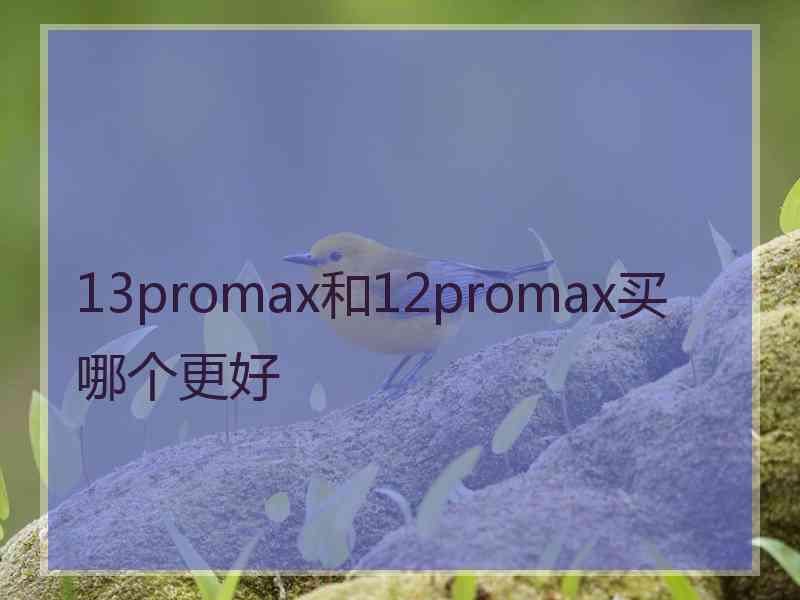 13promax和12promax买哪个更好