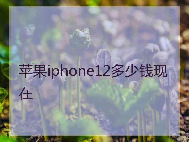 苹果iphone12多少钱现在