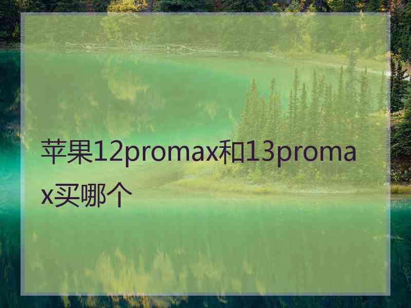 苹果12promax和13promax买哪个