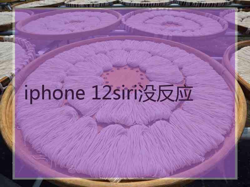 iphone 12siri没反应