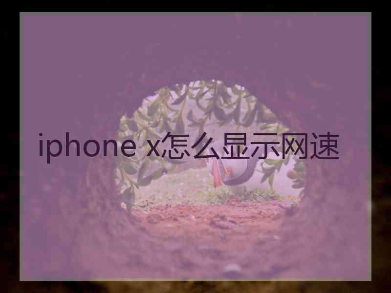 iphone x怎么显示网速