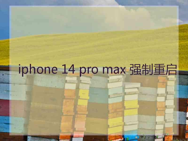 iphone 14 pro max 强制重启