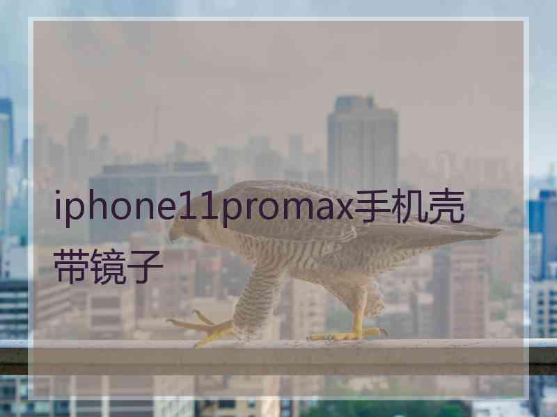 iphone11promax手机壳带镜子