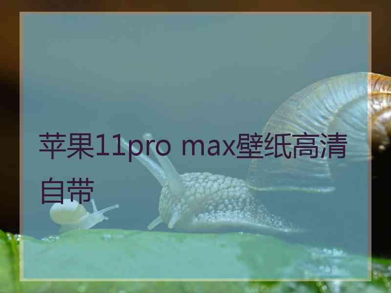 苹果11pro max壁纸高清自带