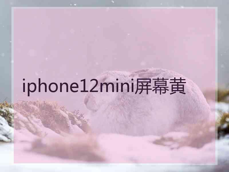 iphone12mini屏幕黄