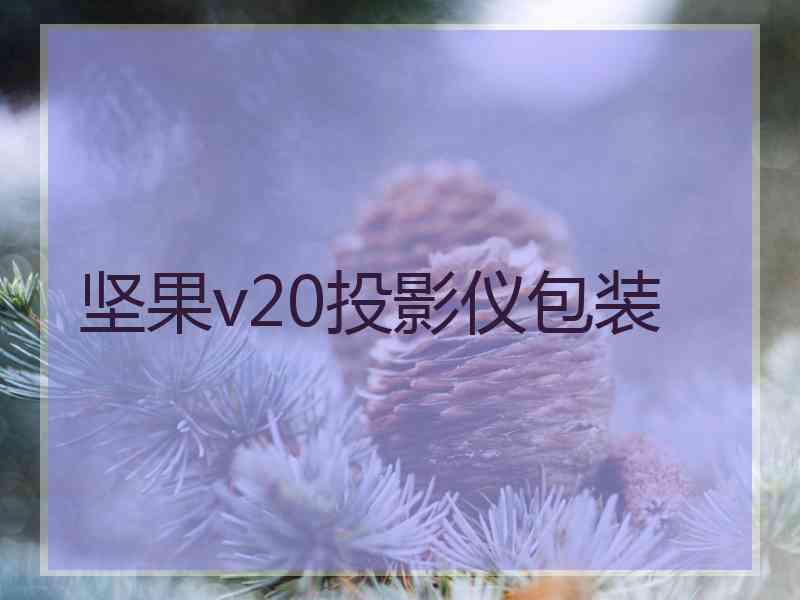 坚果v20投影仪包装