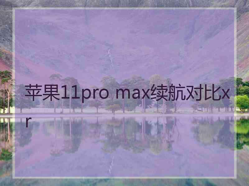 苹果11pro max续航对比xr