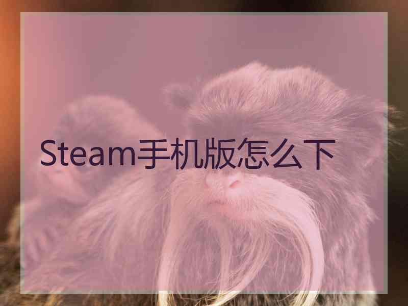 Steam手机版怎么下