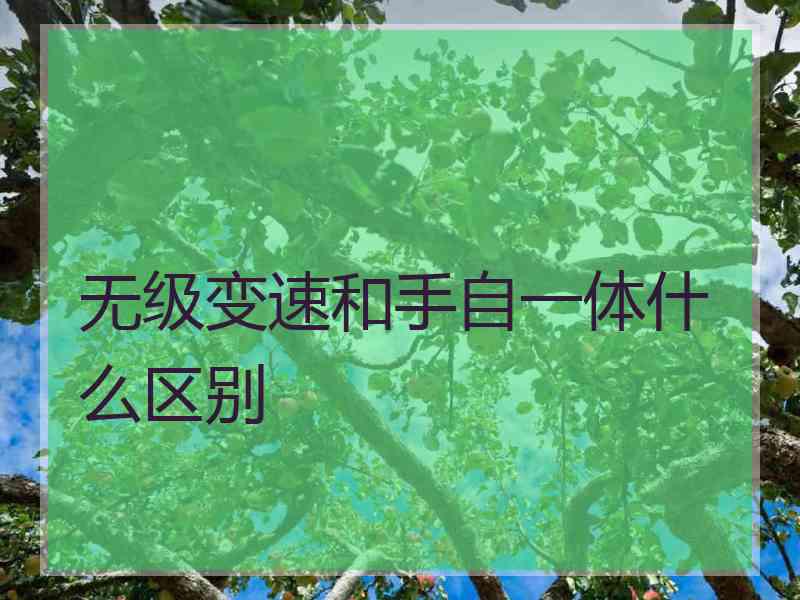 无级变速和手自一体什么区别